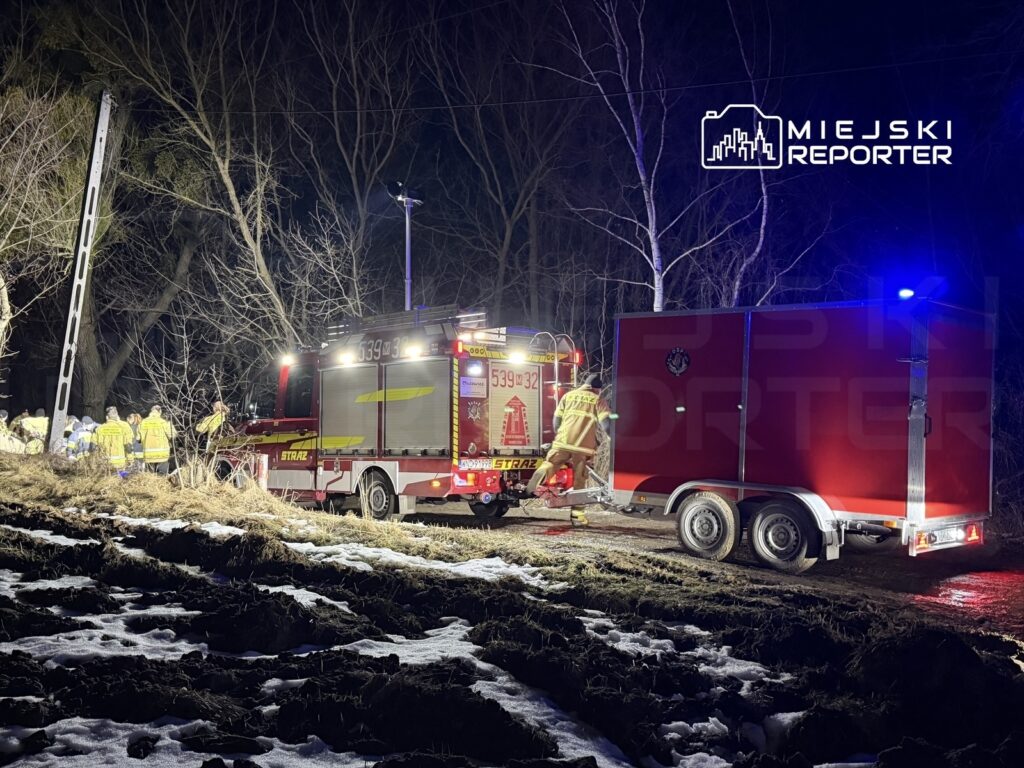 Grupa strażaków w żółtych mundurach pracuje przy wozie strażackim w ciemnym lesie, oświetlonym przez latarnie.