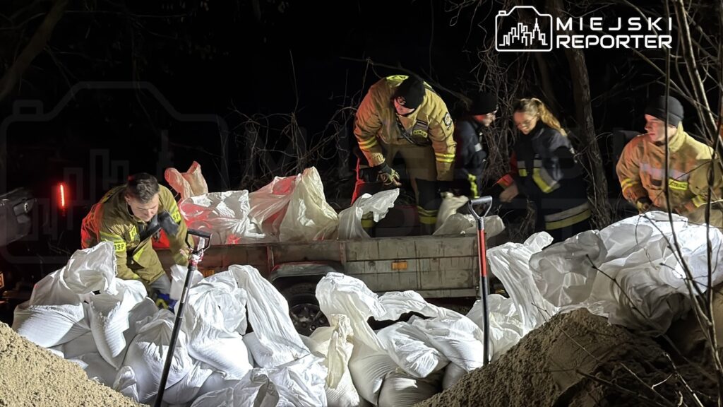 Grupa strażaków w mundurach przenosi worki z piaskiem z przyczepy w ciemnym, leśnym otoczeniu.