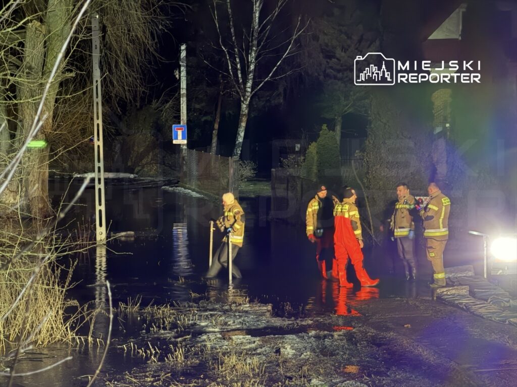 Grupa strażaków w odzieży ochronnej przeprowadza akcję ratunkową w zalanym obszarze nocą, w otoczeniu drzew.