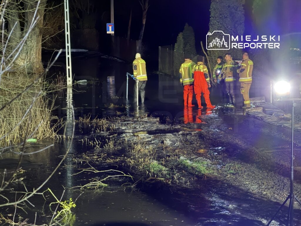 Grupa strażaków w odblaskowych strojach bada teren zalany wodą w nocy, otoczeni przez roślinność i znaki drogowe.
