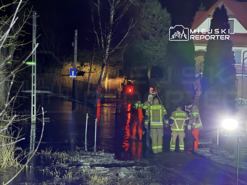 Grupa strażaków w odblaskowych uniformach ocenia sytuację na zalanej ulicy w nocy, otoczeni przez wodę i drzewa.