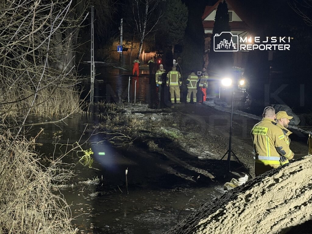 Grupa ratowników w odblaskowych strojach pracuje w nocy przy zalanym terenie, otoczona drzewami i oświetleniem.