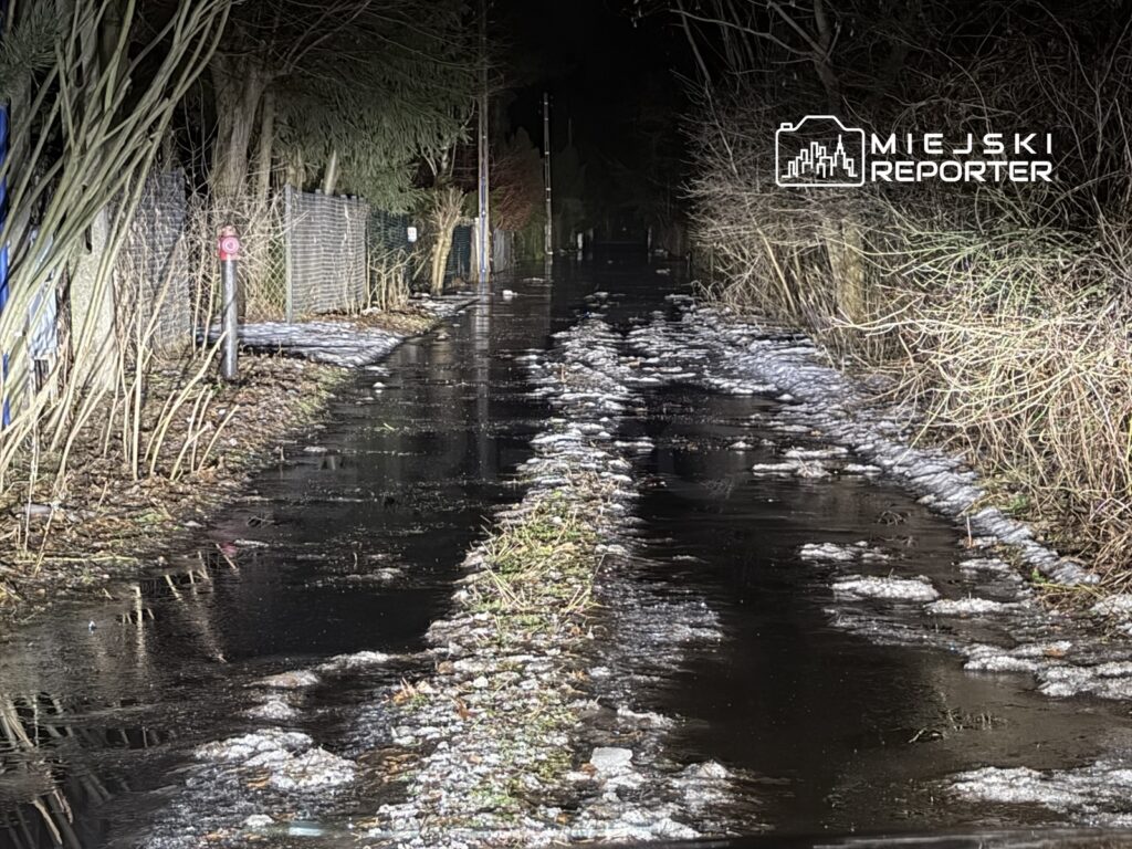Zalany, ciemny chodnik otoczony gęstą roślinnością, z widocznymi kałużami wody i fragmentami lodu.