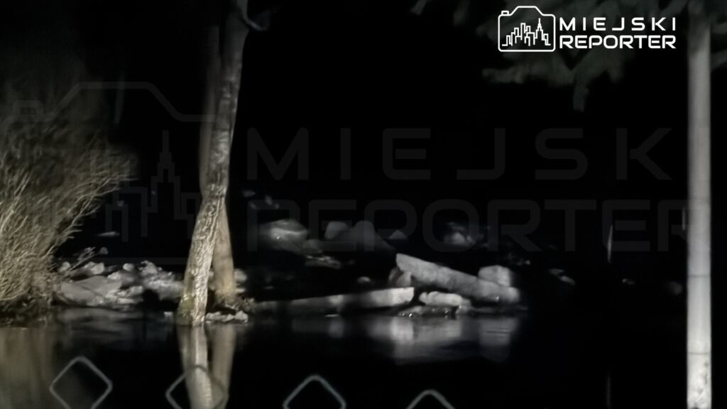 Woda odbija światło w ciemnym otoczeniu, w tle widoczne kamienie i drzewo.