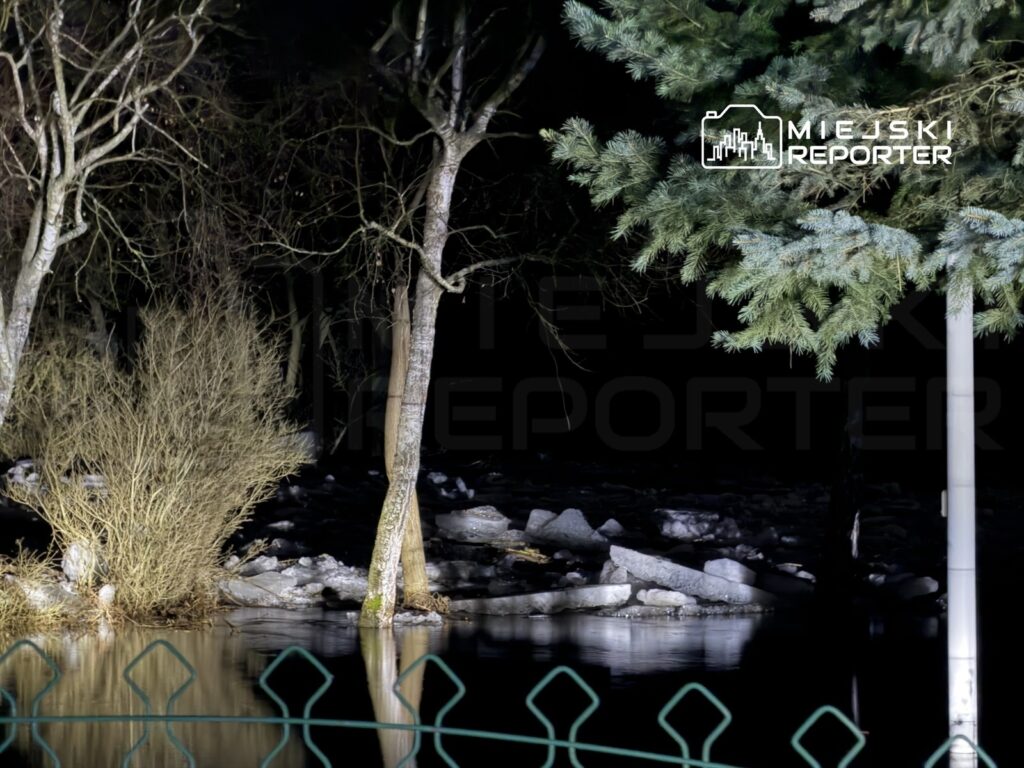 Zamglony krajobraz nocny z drzewami i krzewami przy wodzie, odbicia w ciemnej tafli wody. W tle widoczne kamienie.