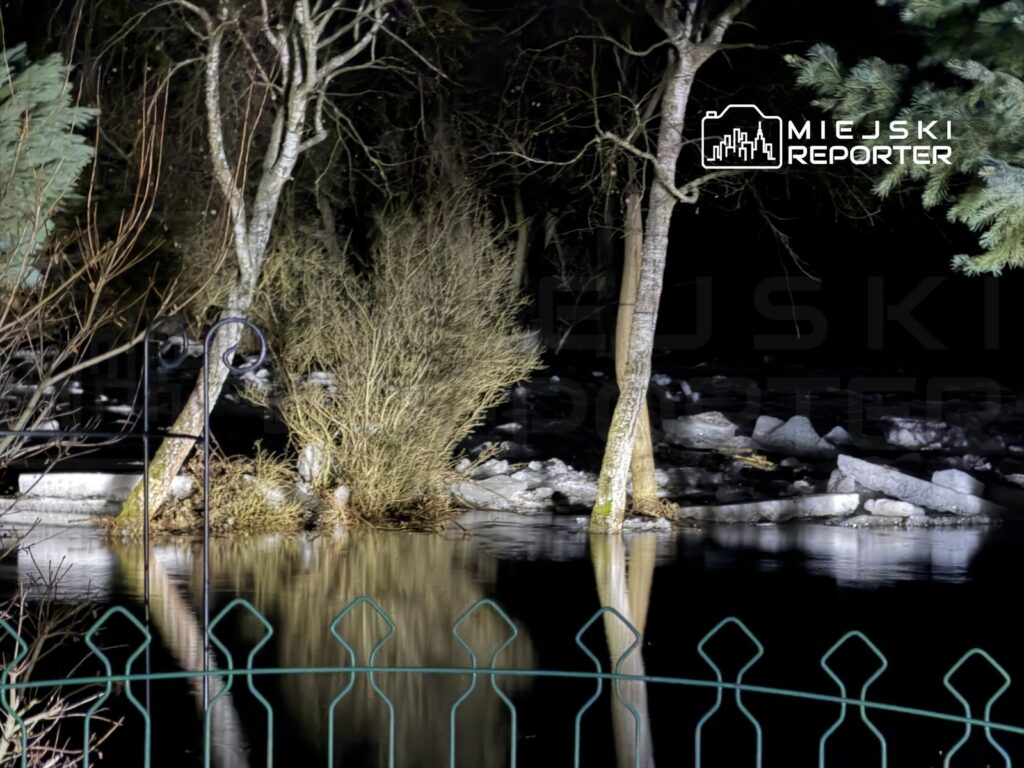Zielona siatka ogrodzeniowa otacza wodę odbijającą drzewa i krzewy w ciemnym otoczeniu nocnym.