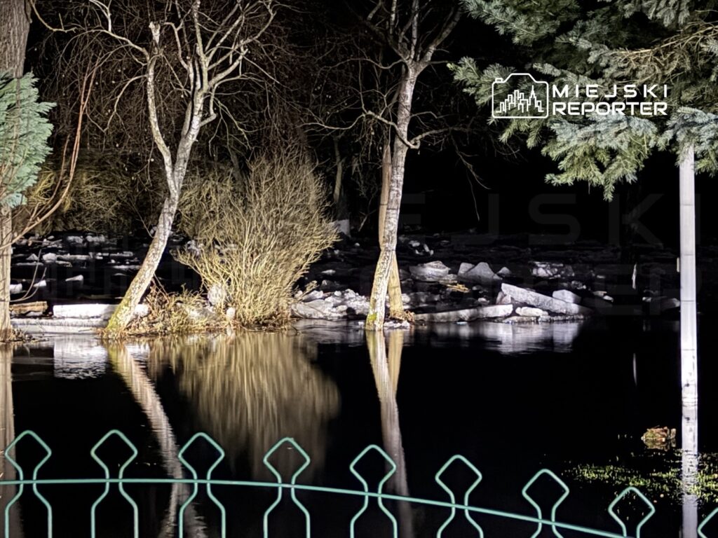 Zalane tereny z drzewami i krzewami odbijającymi się w wodzie, w tle widoczne kamienie.