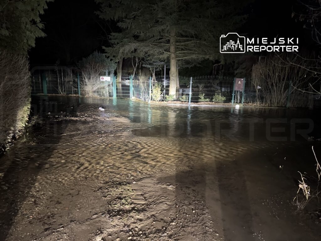 Woda zalewa drogę w nocy, otaczając ogrodzenie z zielonymi słupkami i drzewami w tle.