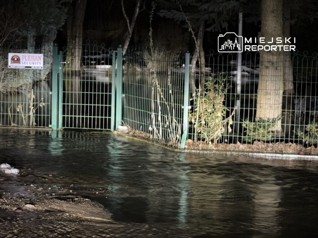 Zalany teren za zieloną furtką, z widocznym znakiem "PLEBAN SECURITY" na ogrodzeniu.
