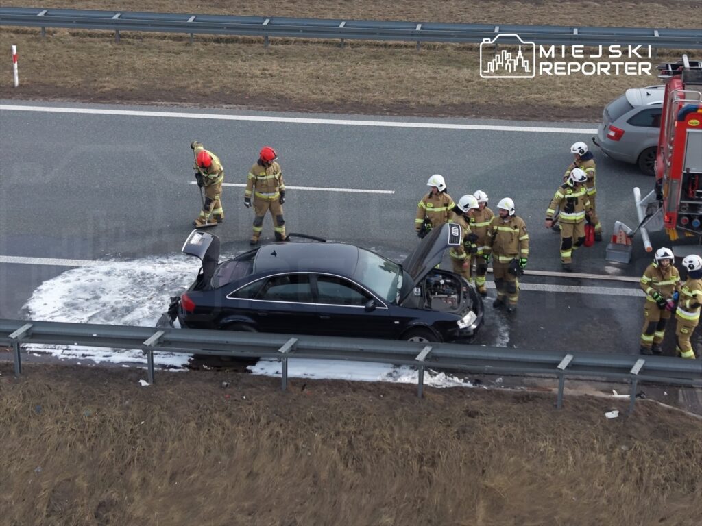 Grupa strażaków w mundurach ocenia uszkodzony samochód na poboczu drogi, obok leży rozlana ciecz.