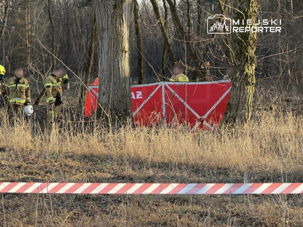 Strażacy w mundurach pracują w lesie obok czerwonego namiotu, otoczeni przez wysoką trawę i drzewa.