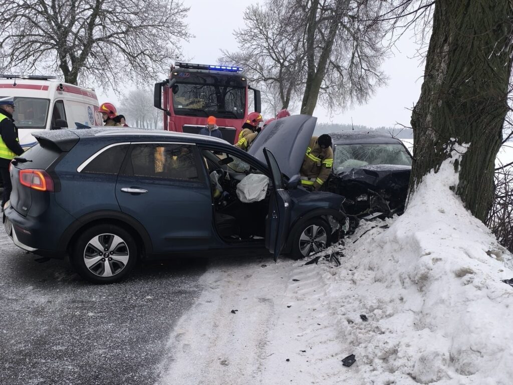 W wyniku wypadku samochodowego niebieski SUV zderzył się z drzewem, a ratownicy medyczni oraz strażacy udzielają pomocy poszkodowanym.