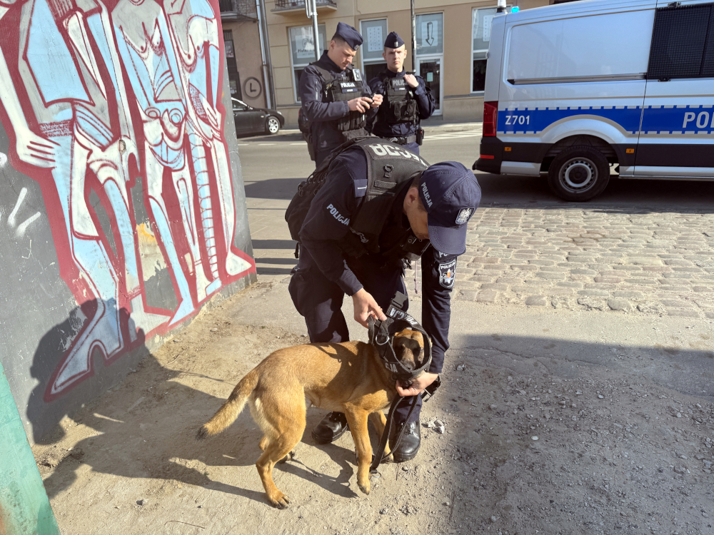 Policjant zakłada obrożę na psa w pobliżu muralu, obok stoi radiowóz policyjny.