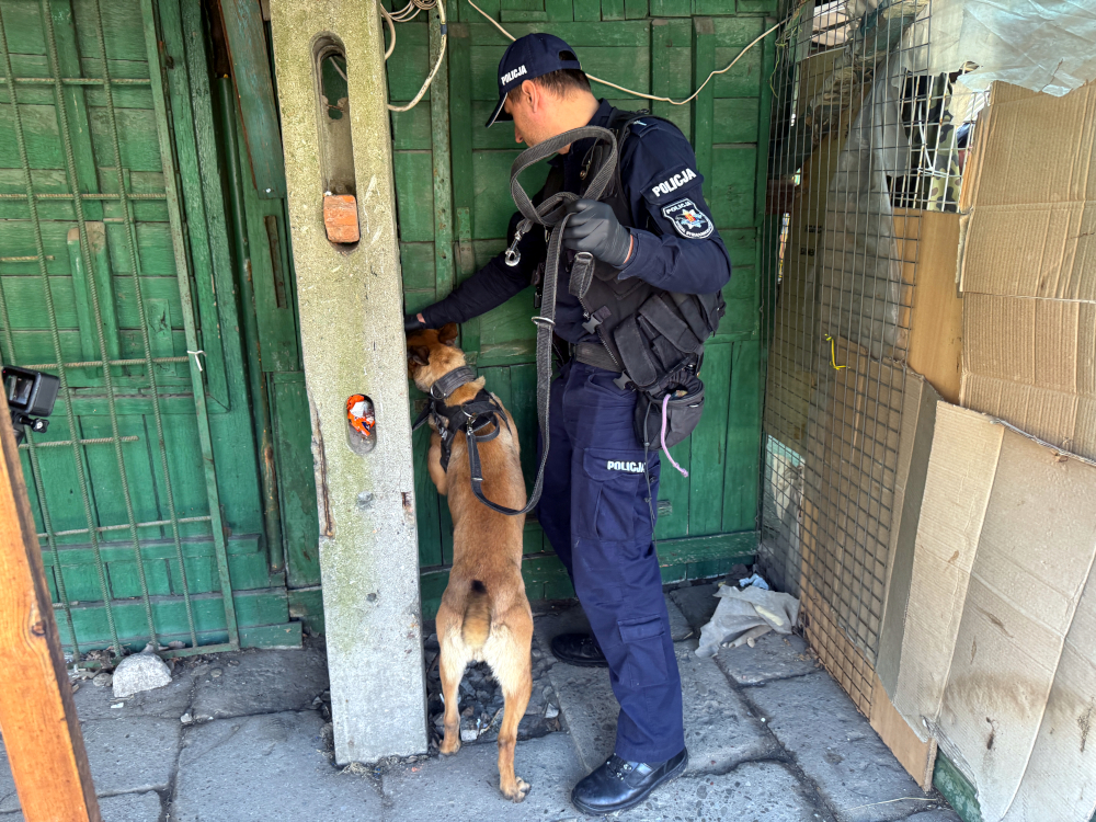 Policjant z psem służbowym bada drzwi w zielonej ścianie budynku, otoczony przez nieład.