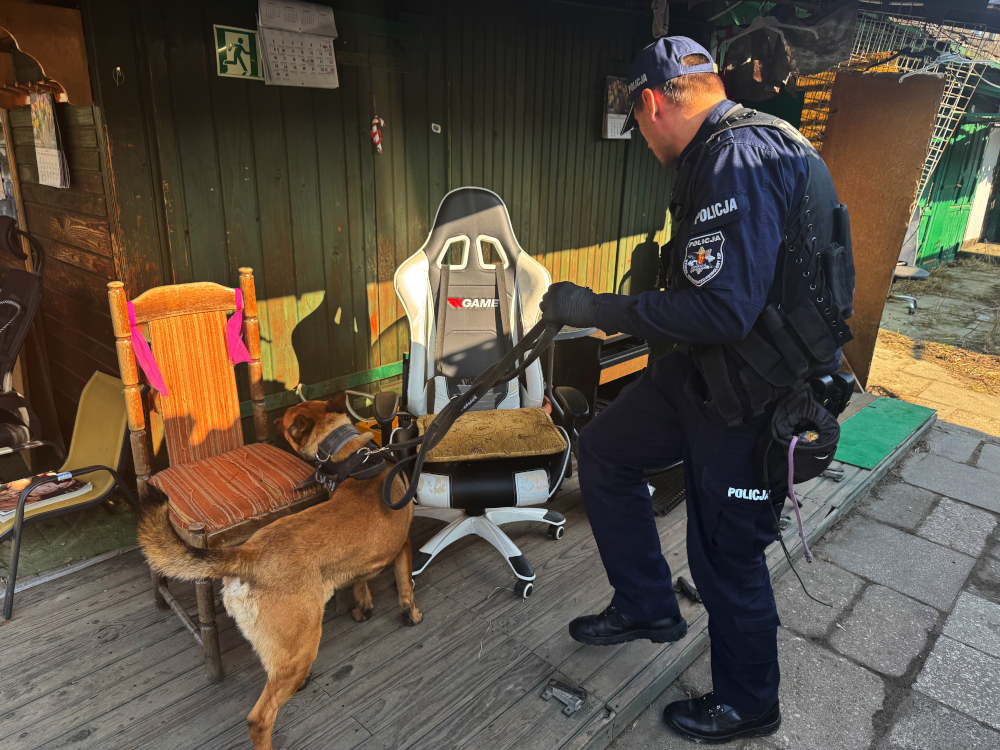 Policjant z psem służbowym przeszukuje teren w pobliżu drewnianej chaty, obok opuszczonych krzeseł.