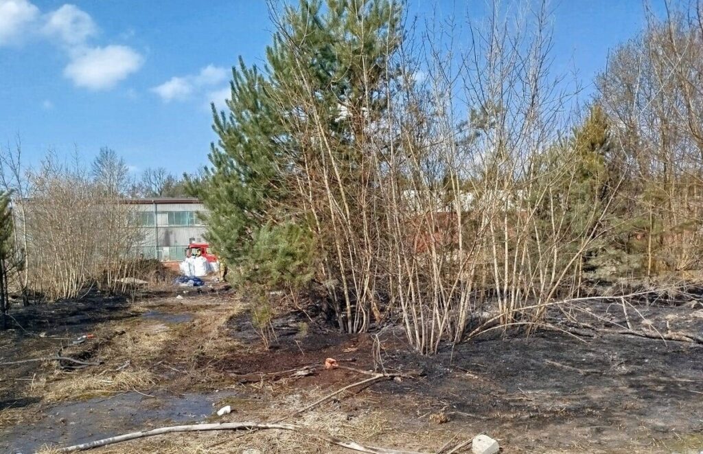 W tle widać nowoczesny budynek, a na pierwszym planie spalone zarośla oraz pojedyncze drzewa w zniszczonym terenie.