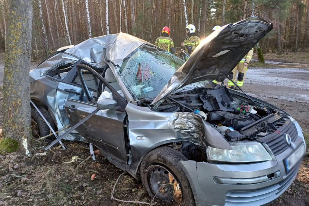 Zniszczony samochód osobowy uderzony w drzewo, obok strażacy w mundurach, w tle leśny krajobraz.