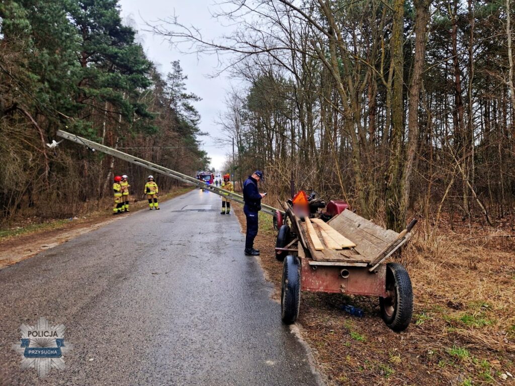 Strażacy w żółtych mundurach pracują przy wypadku drogowym, obok przewróconego słupa elektrycznego na leśnej drodze.
