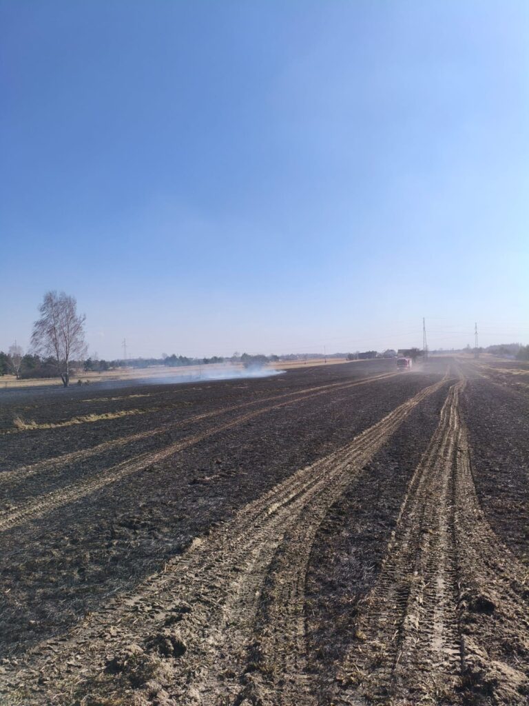 Pola pokryte popiołem po pożarze, z dymem unoszącym się w powietrzu, w tle widać ślady pojazdów rolniczych.