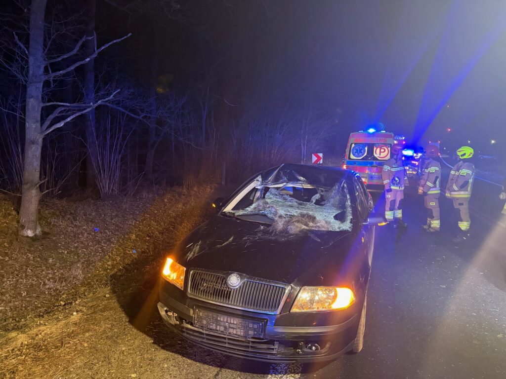 Czarny samochód osobowy z uszkodzoną karoserią stoi na poboczu drogi, obok grupy strażaków i karetki.