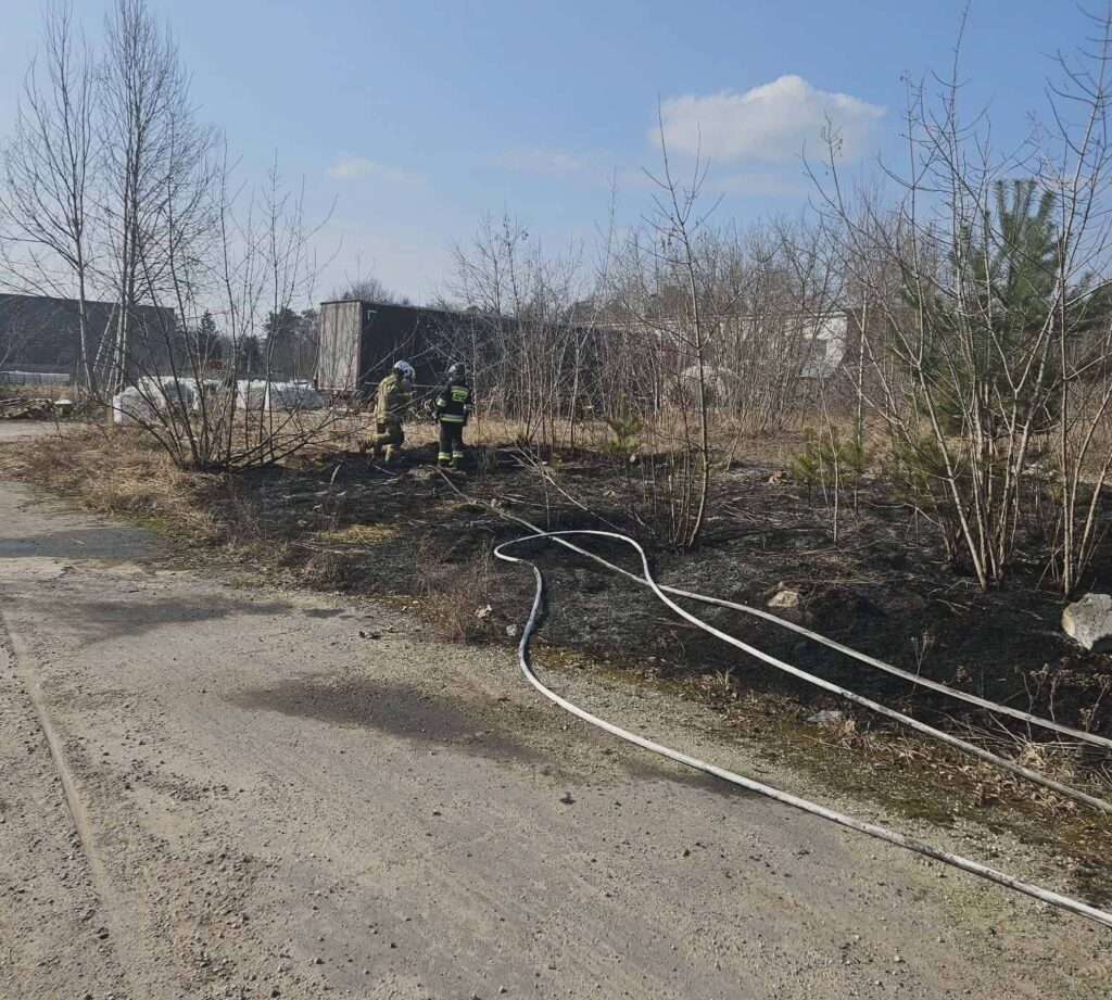 Dwaj strażacy pracują nad gaszeniem pożaru w zarośniętym terenie, wśród wypalonych krzewów i drzew.