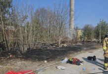 Strażak w mundurze monitoruje teren po pożarze, na którym widać spalone krzewy i leżące torby ratunkowe.