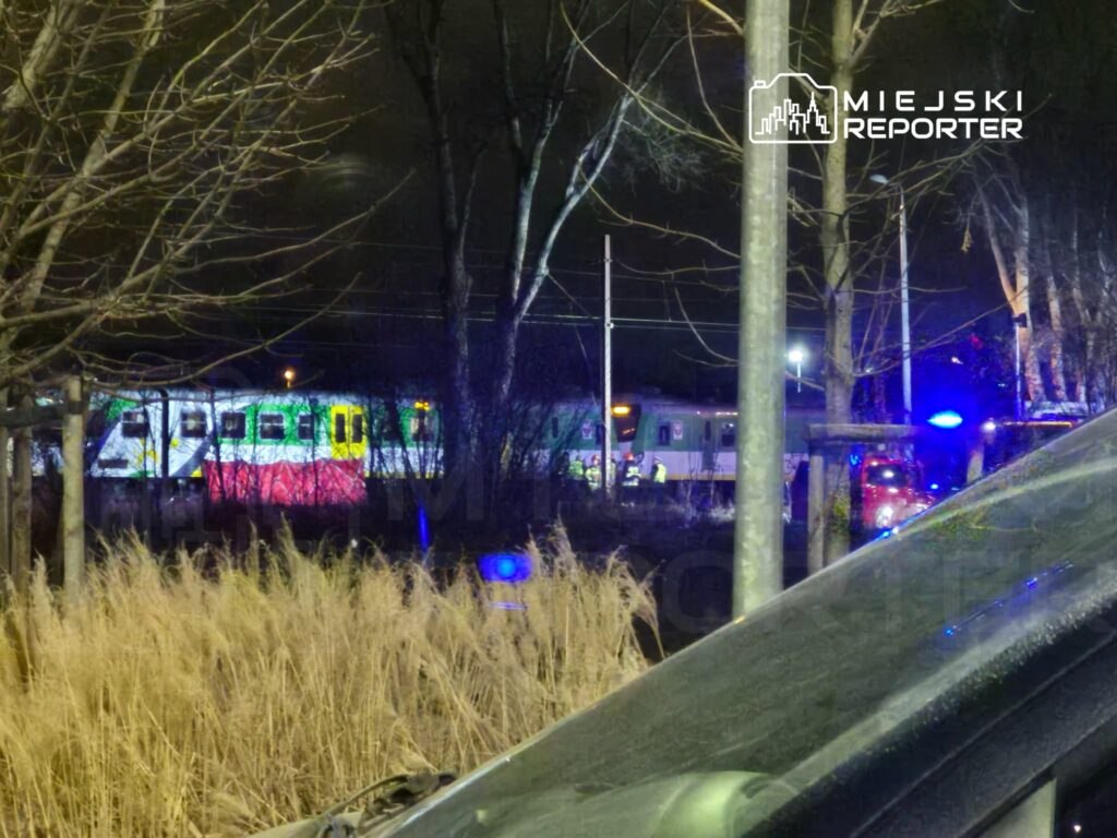 Pociąg w kolorowych iluminacjach stoi na torach w otoczeniu drzew, obok widoczne niebieskie światła radiowozów.