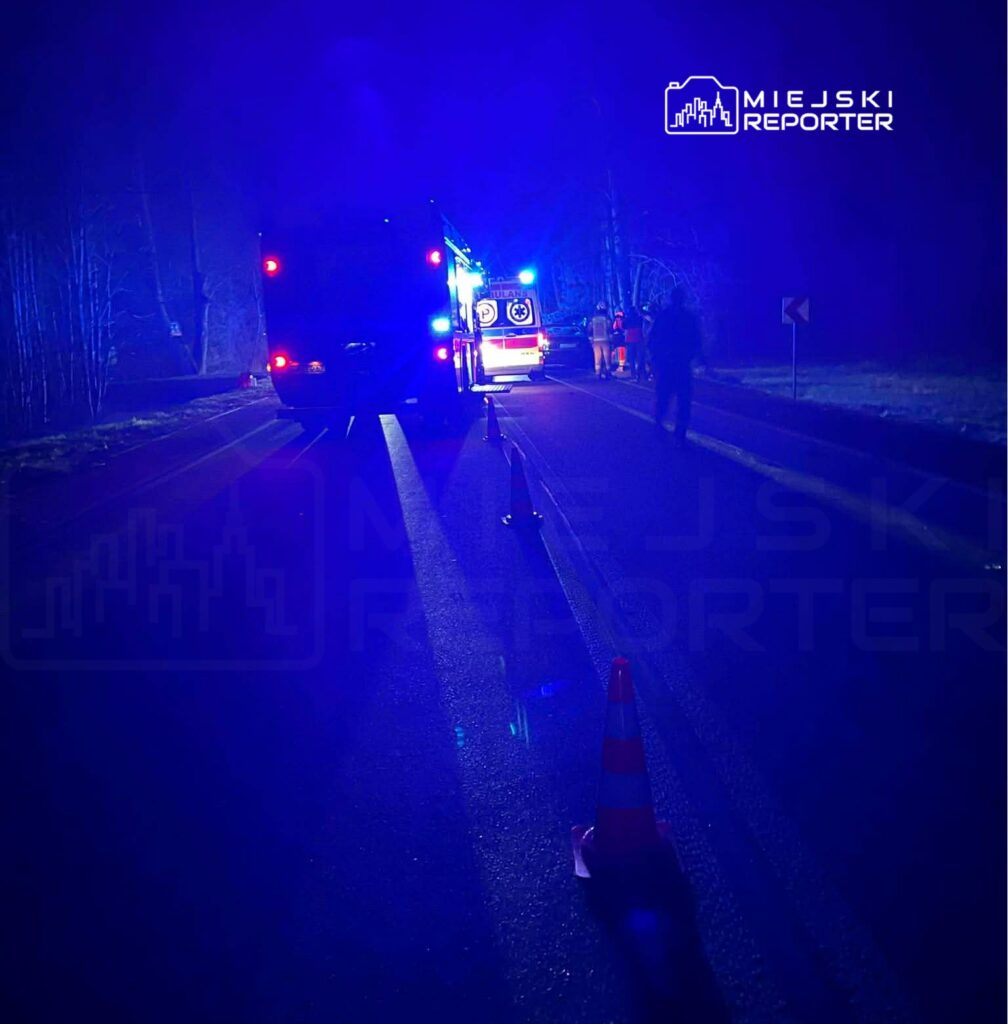 Na drodze nocą, w tle niebieskie światła pojazdów ratunkowych, a widać pracujących ratowników.