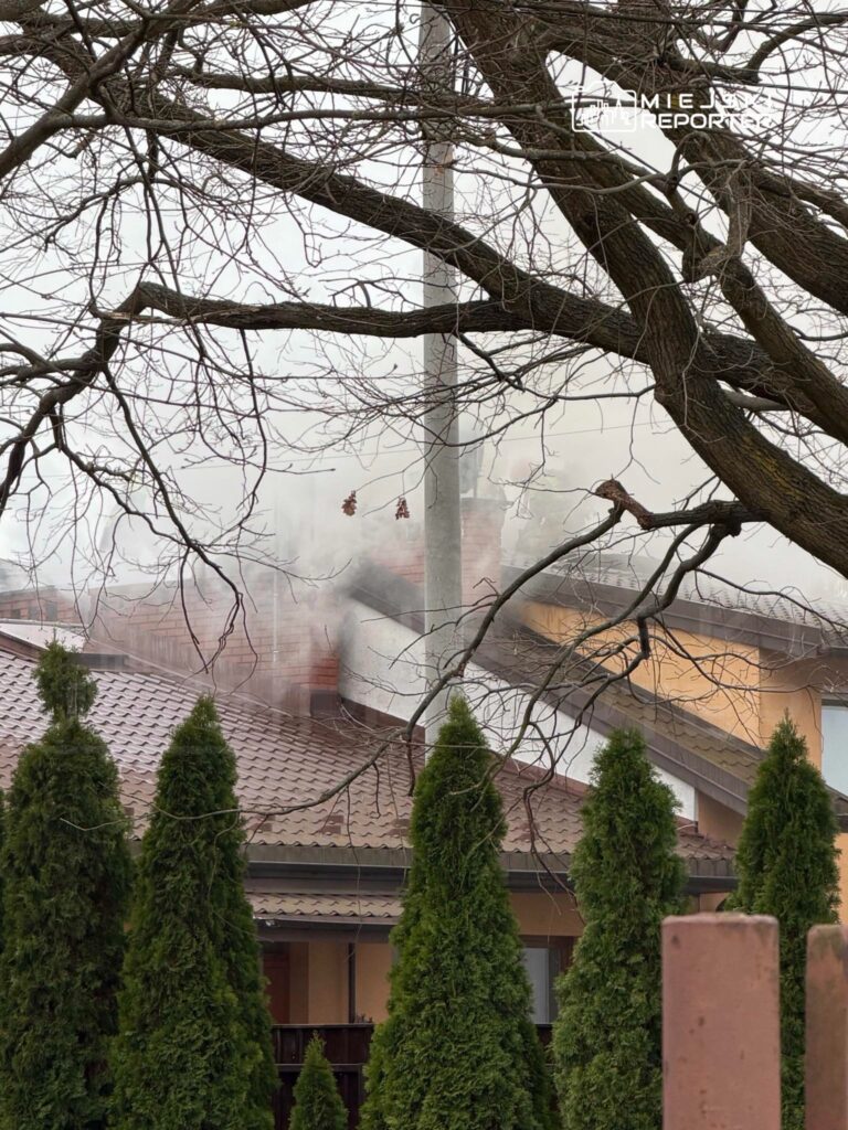 Dym unosi się z komina na dachu budynku otoczonego iglakami w mglistej scenerii.