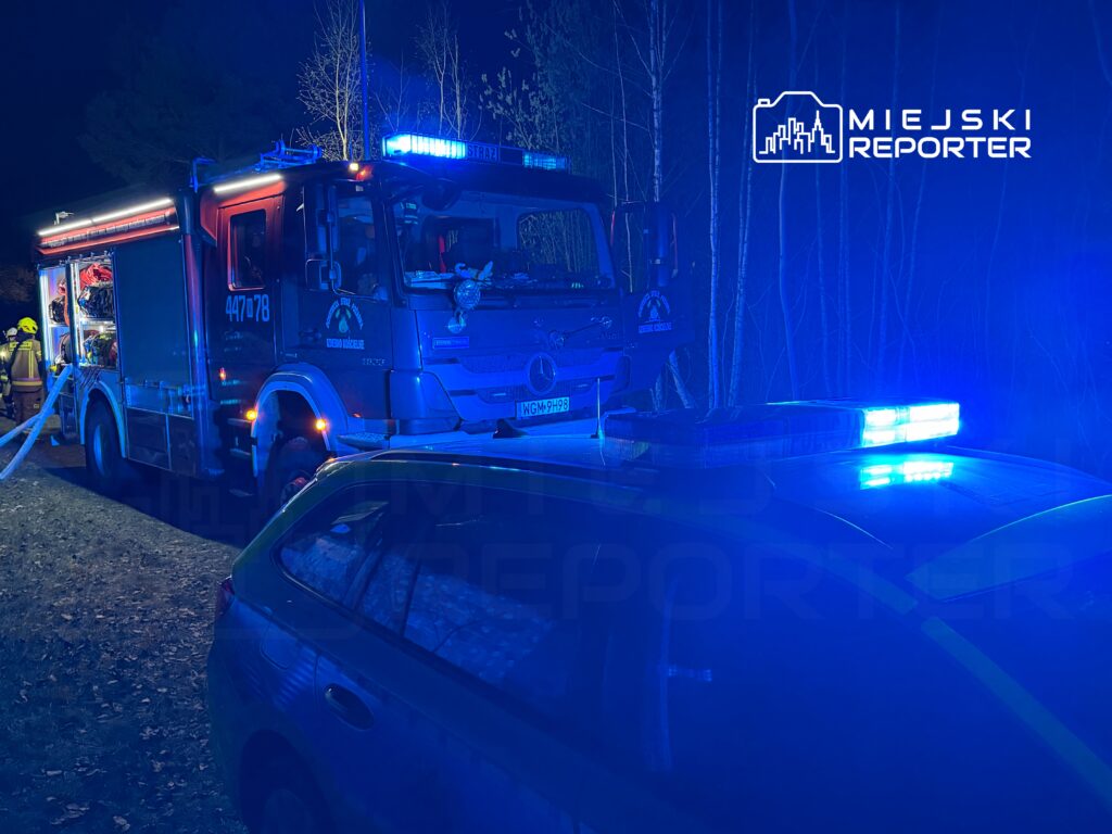 Strażacy przy wozie strażackim z niebieskimi światłami, pracujący w lesie nocą.