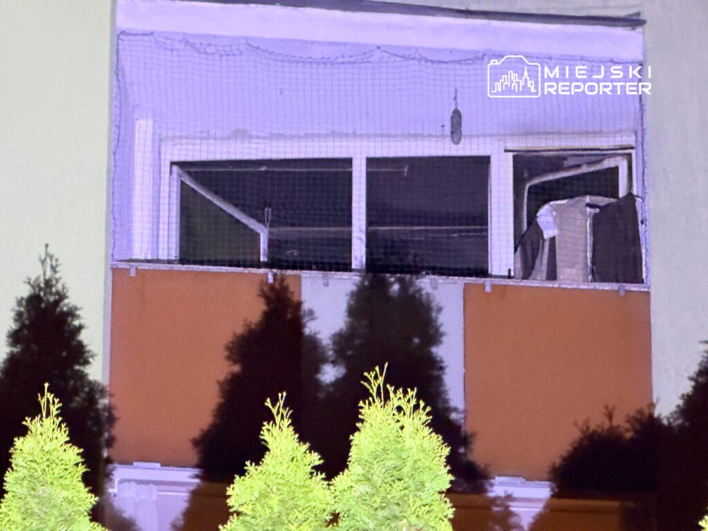 Okno z siatką zabezpieczającą, w tle widoczne ubrania na wieszaku, otoczenie z drzewami iglastymi.