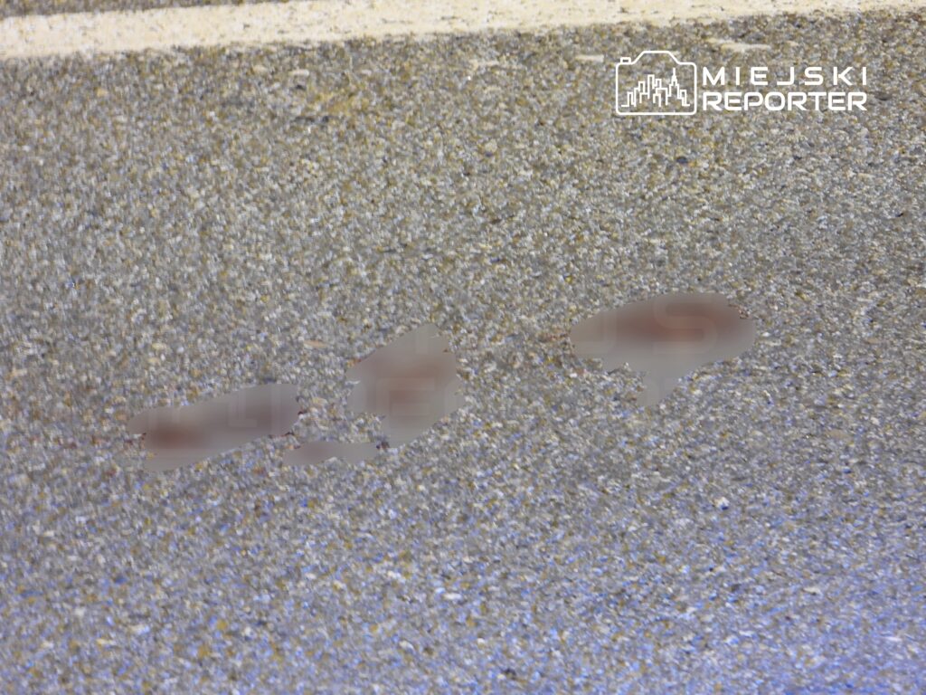 Plamy na nawierzchni drogi, w otoczeniu szarego asfaltu, z białą linią po jednej stronie.