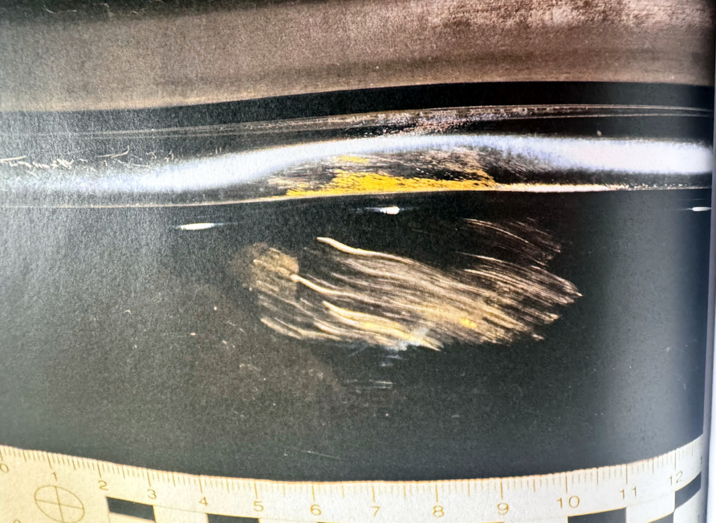 Zamknięta przestrzeń z ciemnym tłem, na którym widoczne są jasne smugi i plamy, z miarką w dolnej części zdjęcia.