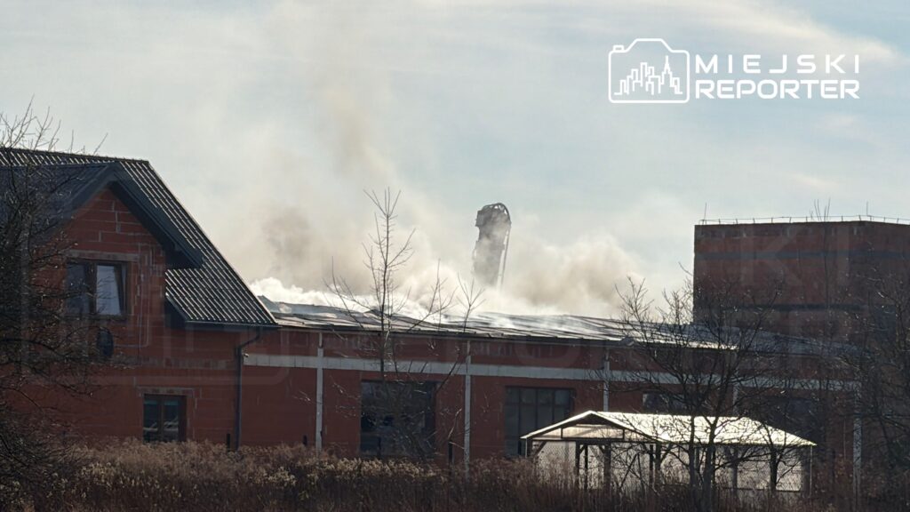 W tle dym unoszący się z budynku, widać fragment rozbieranego obiektu w otoczeniu zarośli i drzew.