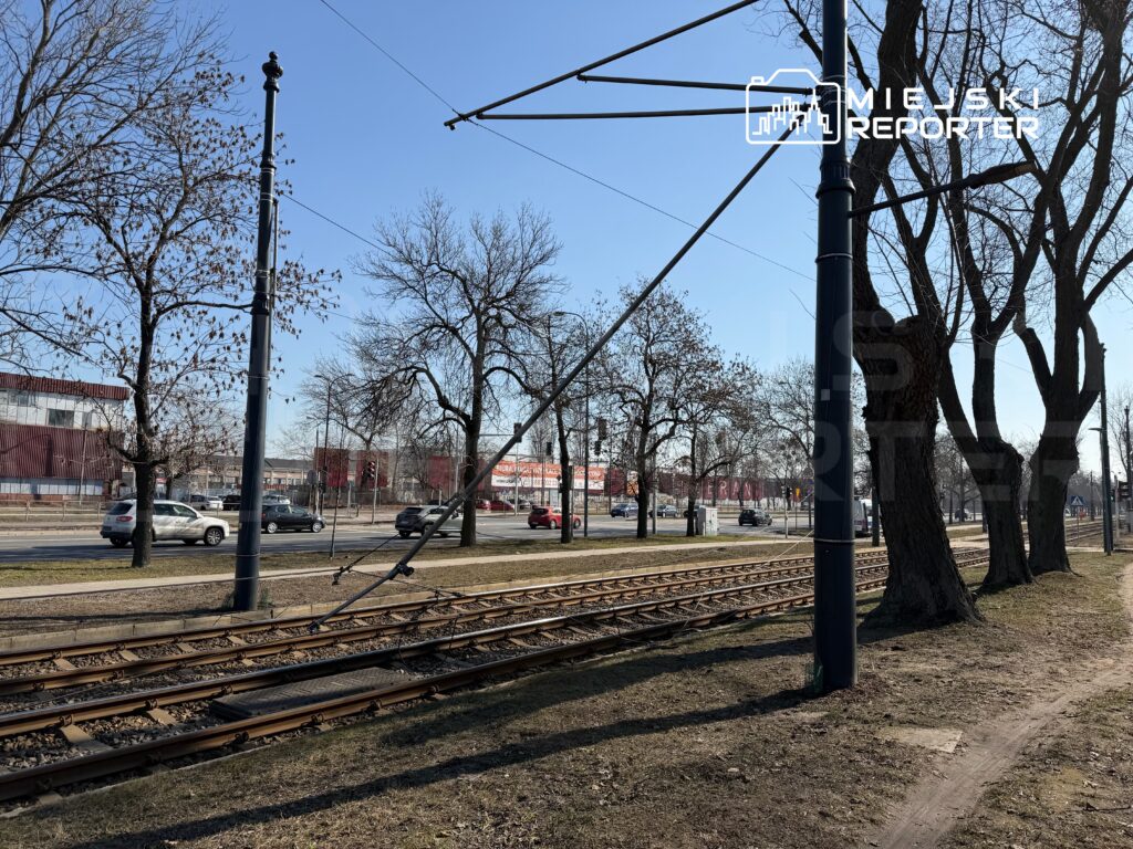Tory tramwajowe biegnące wzdłuż ulicy, obok których rosną nagie drzewa i stoją samochody na jezdni.