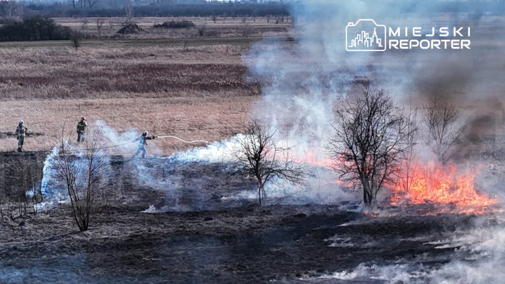 Strażacy gaszą pożar trawy na otwartej przestrzeni, w tle widać dym i płomienie.