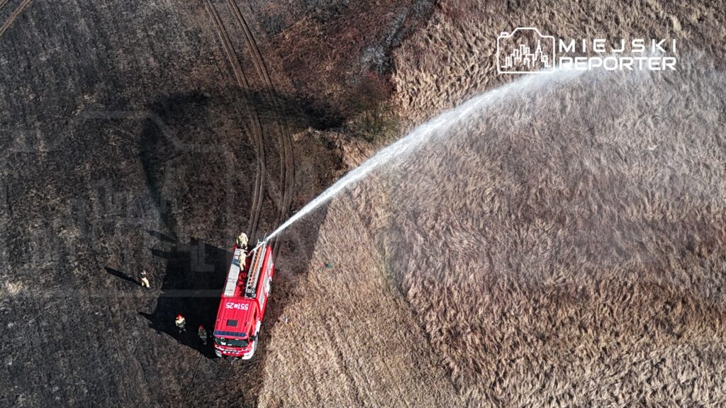 Strażacy z wozu gaśniczego zraszają spaloną trawę na polu, aby zapanować nad pożarem.