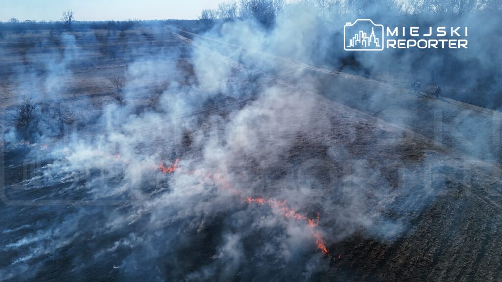 Dym i ogień widoczne na polu, zalesiona droga w tle. Spalona trawa tworzy linię ognia.