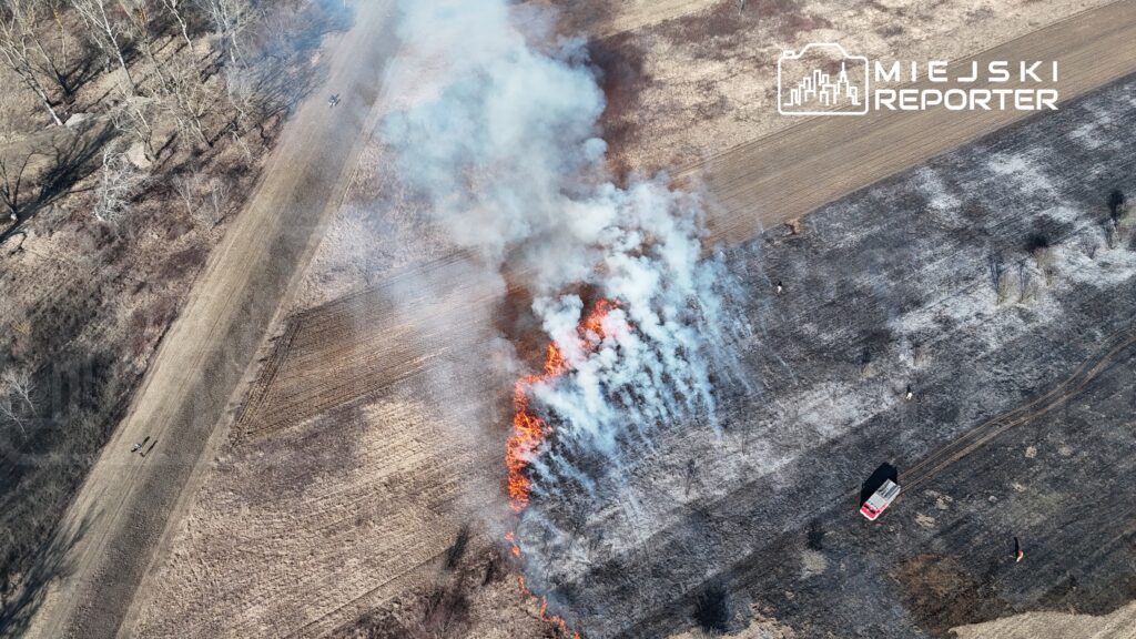 Pożar trawy i zarośli na polu, z dymem unoszącym się w powietrzu, obok wóz strażacki oraz osoby gaszące ogień.