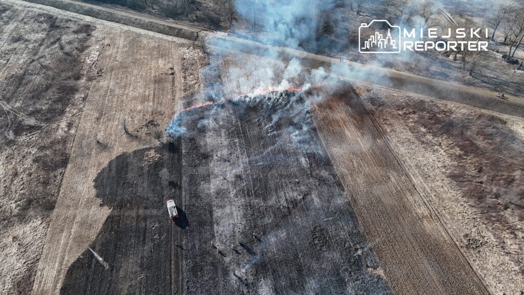 Straż pożarna gasi pożar trawy na otwartej przestrzeni, w tle widoczne zarośla i droga.