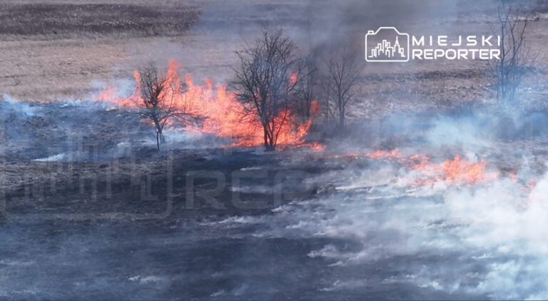 Płonąca trawa i drzewa na polu, otoczone kłębami dymu w wyniku pożaru.