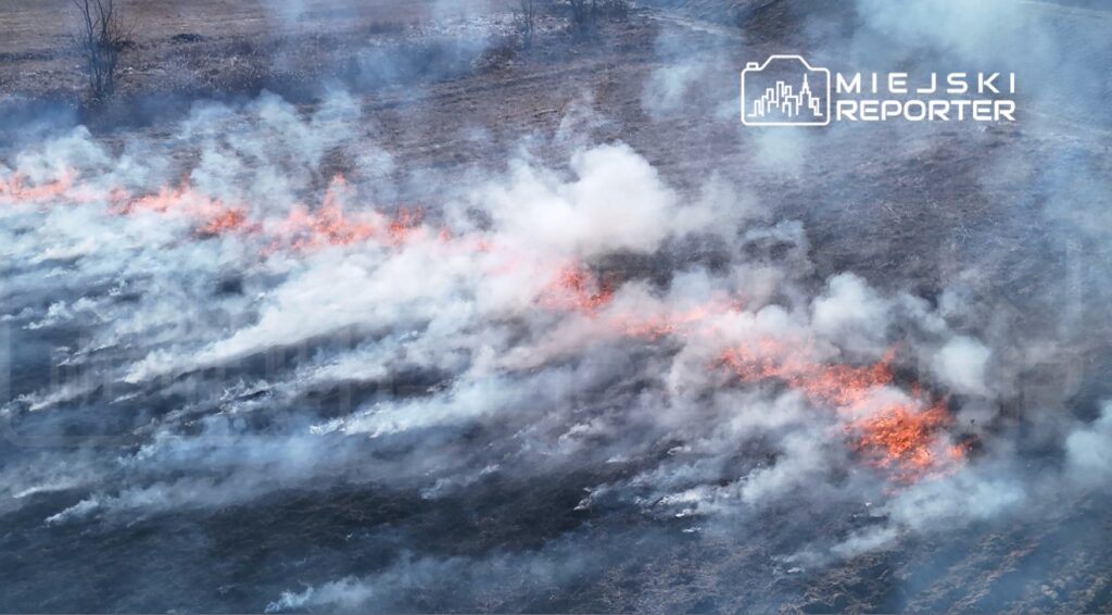 Płonące pole z widocznymi smugami ognia i dymu w otoczeniu suchej trawy.