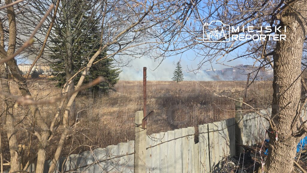 Dym unoszący się nad suchą łąką w otoczeniu drzew i metalowego ogrodzenia. W tle widoczny budynek mieszkalny.