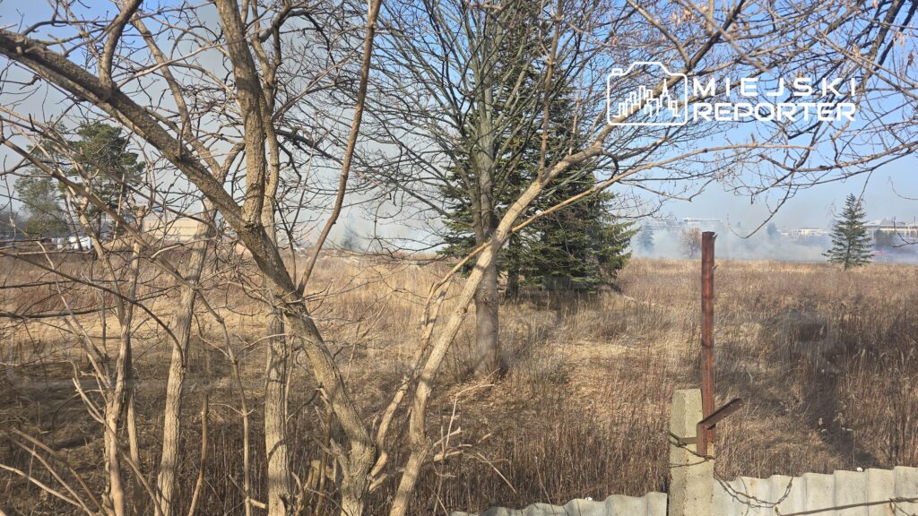W tle dym unoszący się nad suchą łąką, w pierwszym planie nagie gałęzie drzew i fragment ogrodzenia.
