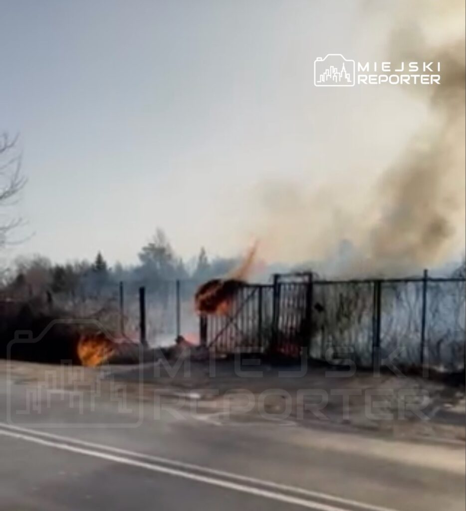 Płonące krzewy przy ogrodzeniu, wydobywający się dym oraz ogień w tle, w pobliżu drogi.