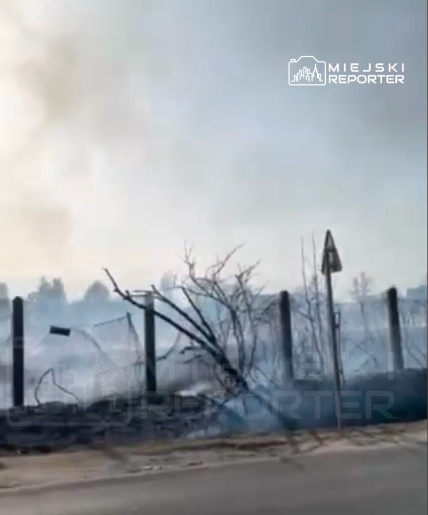 Płonąca trawa i krzewy w pobliżu ogrodzenia, w tle widoczne kłęby dymu i zniszczona roślinność.