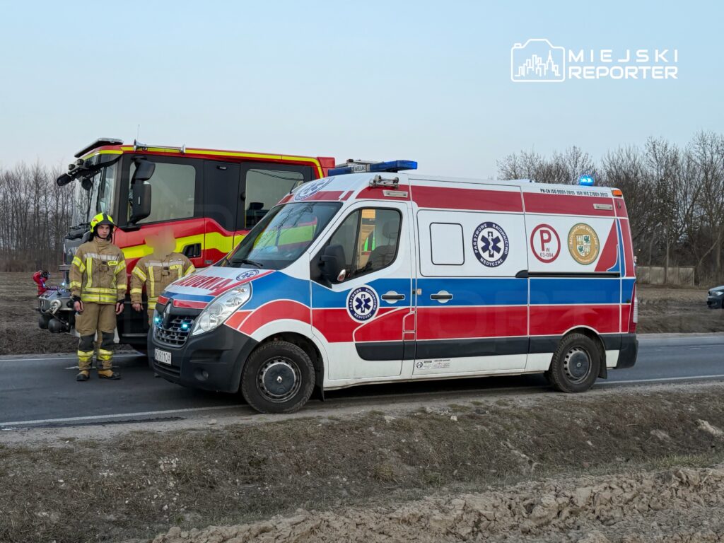 Strażak w mundurze stoi obok karetki pogotowia na poboczu drogi, w tle widoczny wóz strażacki.