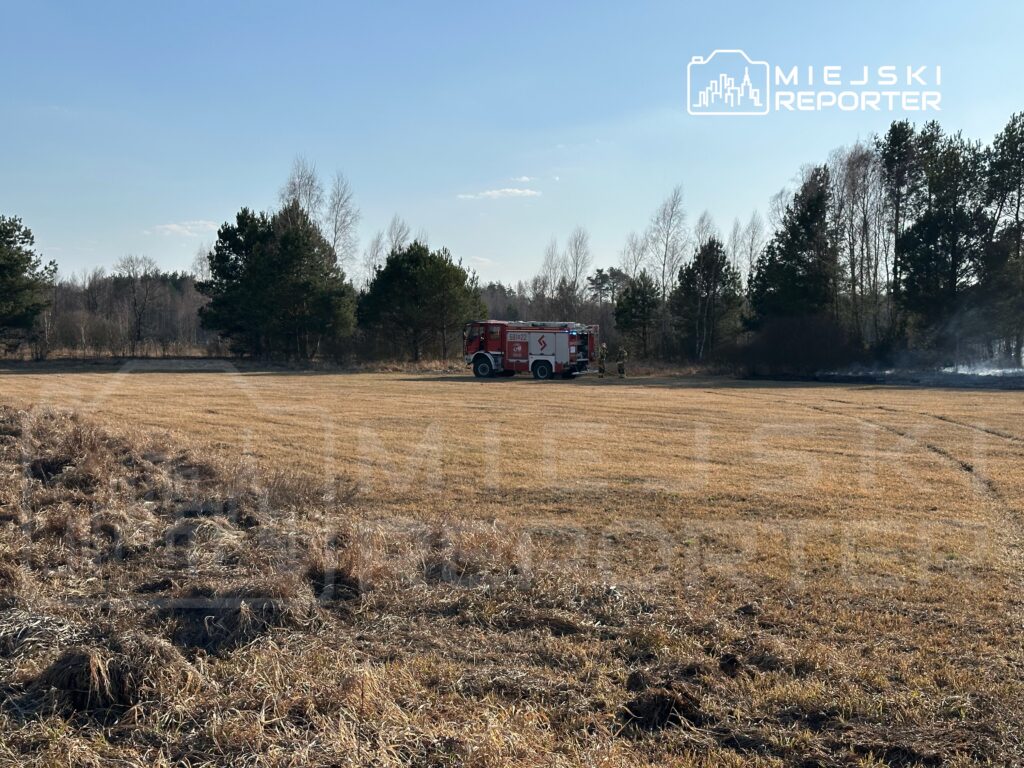 Strażacy gaszą pożar trawy w otwartym terenie, obok wozu strażackiego w otoczeniu drzew.