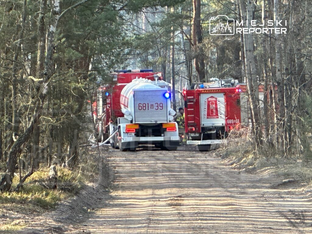 W lesie stoją dwa wozy strażackie z włączonymi sygnałami świetlnymi, przygotowane do akcji gaśniczej.