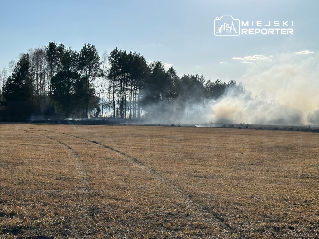 Na polu widoczne są smugi dymu unoszące się z ogniska, w tle rosną drzewa.